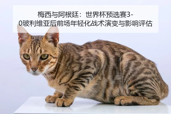 mei-xi-yu-a-gen-ting-shi-jie-bei-yu-xuan-sai-bo-li-wei-ya-hou-qian-chang-nian-qing-hua-zhan-shu-yan-bian-yu-ying-xiang-2-824.jpg